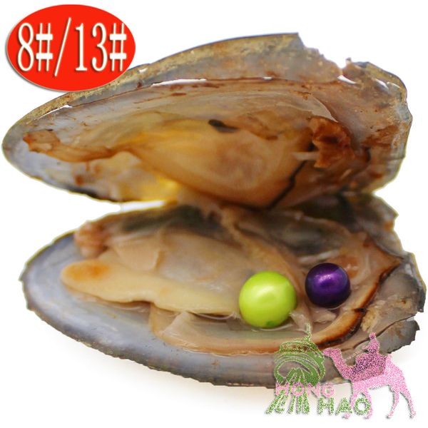 twin pearls in an oyster shell, desire pearl clams, pearl drops, pearl pendants, gifts, diy pearls, preferably
twin pearls in an oyster shell, desire pearl clams, pearl drops, pearl pendants, gifts, diy pearls, preferably