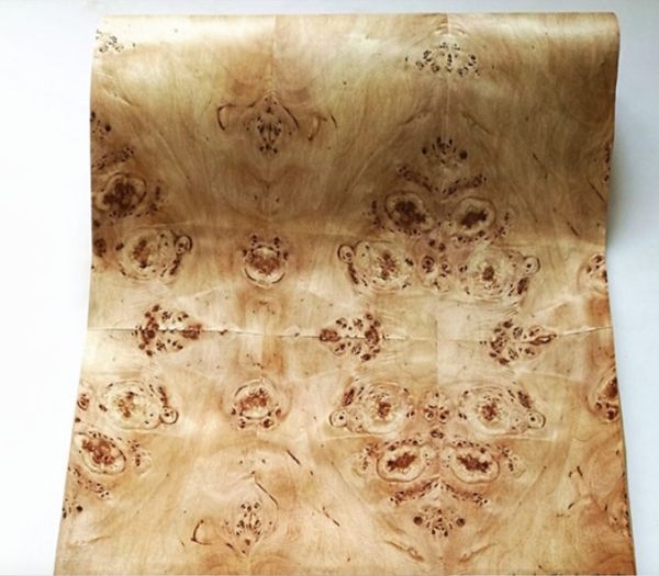 2.5meter/pcs width:60cm thickness:0.3mm natural poplar tree wood veneer speaker thin skin
2.5meter/pcs width:60cm thickness:0.3mm natural poplar tree wood veneer speaker thin skin
