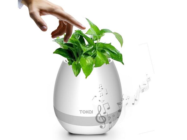 tokqi bluetooth smart music flower pots intelligent real plant touch play flowerpot colorful light long time play bass speaker night light
tokqi bluetooth smart music flower pots intelligent real plant touch play flowerpot colorful light long time play bass speaker night light
