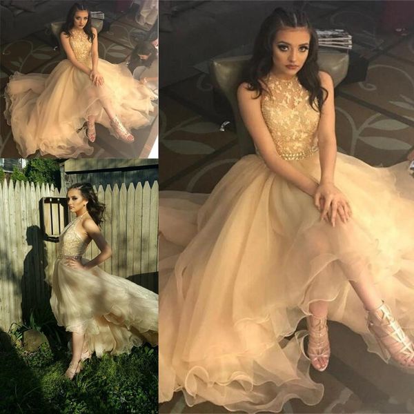 2018 new arrival charming gorgeous halter high low long prom dress backless sleeveless lace beads evening gowns arabic custom made, Black
2018 new arrival charming gorgeous halter high low long prom dress backless sleeveless lace beads evening gowns arabic custom made, Black
