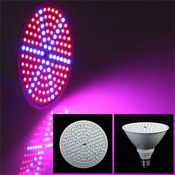 15w e27 smd 126 светодиодных чипов grow grow lights светодиодные завод свет красный + синий гидропоники 110v / 220v
15w e27 smd 126 светодиодных чипов grow grow lights светодиодные завод свет красный + синий гидропоники 110v / 220v