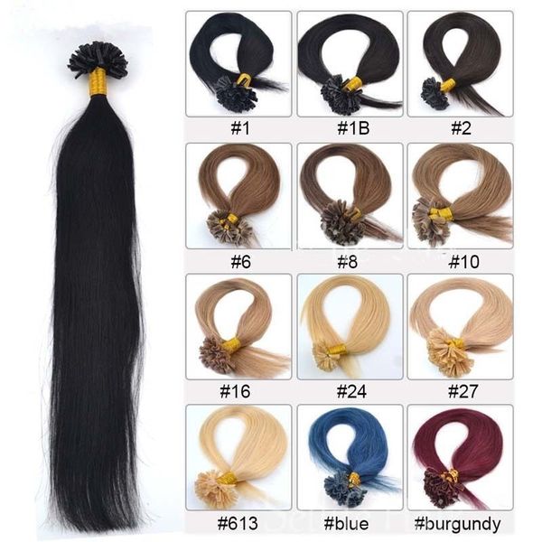 elibess hair- brazilian keratin human fusion hair nail u tip machine made remy hair extension 14''-24''1g/s 100s/lot, Black
elibess hair- brazilian keratin human fusion hair nail u tip machine made remy hair extension 14''-24''1g/s 100s/lot, Black