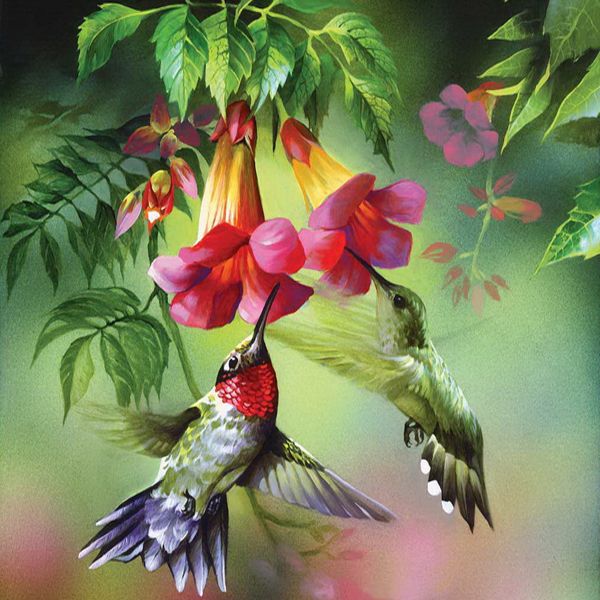 a1044 5d алмаз вышивка домашнего декора вышивки крестом птица 100% смолы инструмент dril живопись вышивки крестом мозаика рукоделие
a1044 5d алмаз вышивка домашнего декора вышивки крестом птица 100% смолы инструмент dril живопись вышивки крестом мозаика рукоделие