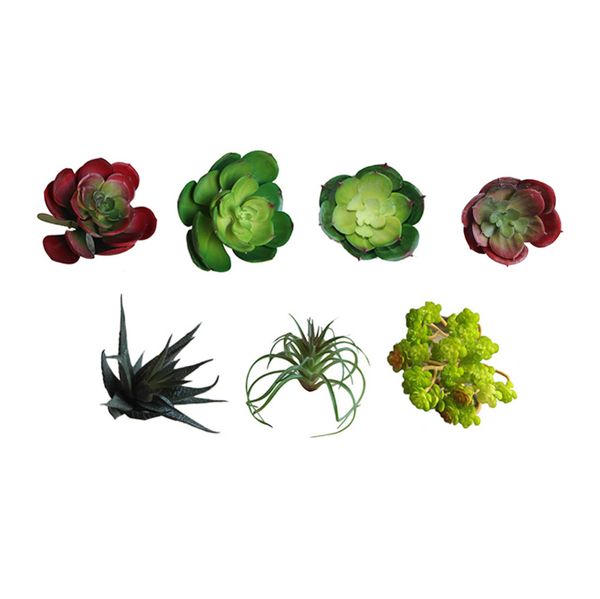 wholesale-artificial succulents land lotus plants grass desert artificial plant landscape fake flower arrangement garden decor home office
wholesale-artificial succulents land lotus plants grass desert artificial plant landscape fake flower arrangement garden decor home office