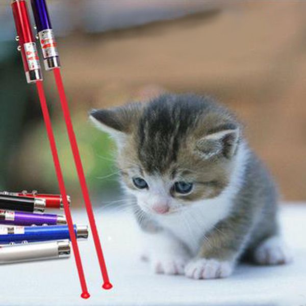 2in1 red laser pointer pen key ring with white led light show portable infrared stick children funny cats pet toys with retail packing
2in1 red laser pointer pen key ring with white led light show portable infrared stick children funny cats pet toys with retail packing