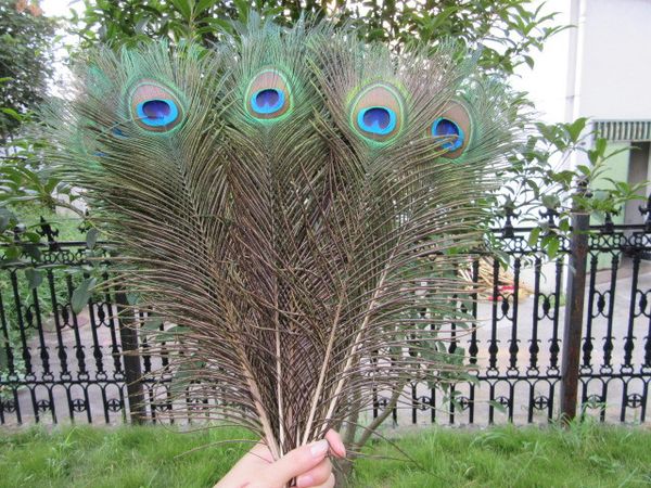 25 -30cm genuine natural peacock feather elegant diy originality home furnishing accessories multiple 100pcs ing
25 -30cm genuine natural peacock feather elegant diy originality home furnishing accessories multiple 100pcs ing