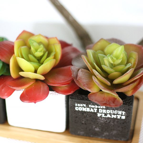 manufacturer rounded snow lotus export artificial indoor plant wall simulation flower micro landscape succelent plant
manufacturer rounded snow lotus export artificial indoor plant wall simulation flower micro landscape succelent plant