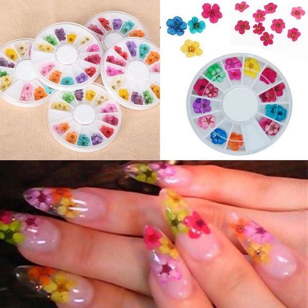 Реальный ногтей сухоцветы Nail Art украшения DIY советы с Case маленькие цветы ногти стр
Реальный ногтей сухоцветы Nail Art украшения DIY советы с Case маленькие цветы ногти стр