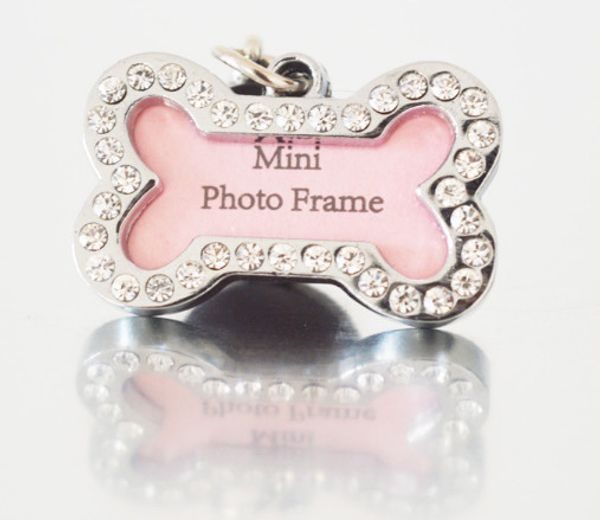 the pet dog tag pendant jewelry brand identity 2017 new diamond head type pet anti lost / delivery 
the pet dog tag pendant jewelry brand identity 2017 new diamond head type pet anti lost / delivery