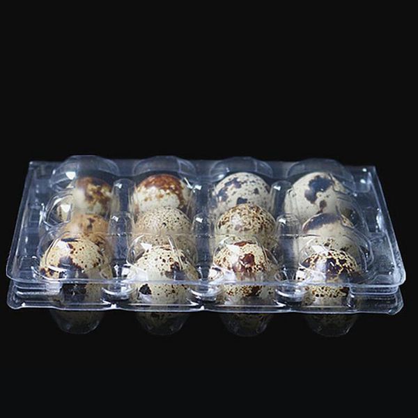 12 holes quail egg containers plastic clear egg boxes d28mm/h39mm package box holder za4002
12 holes quail egg containers plastic clear egg boxes d28mm/h39mm package box holder za4002