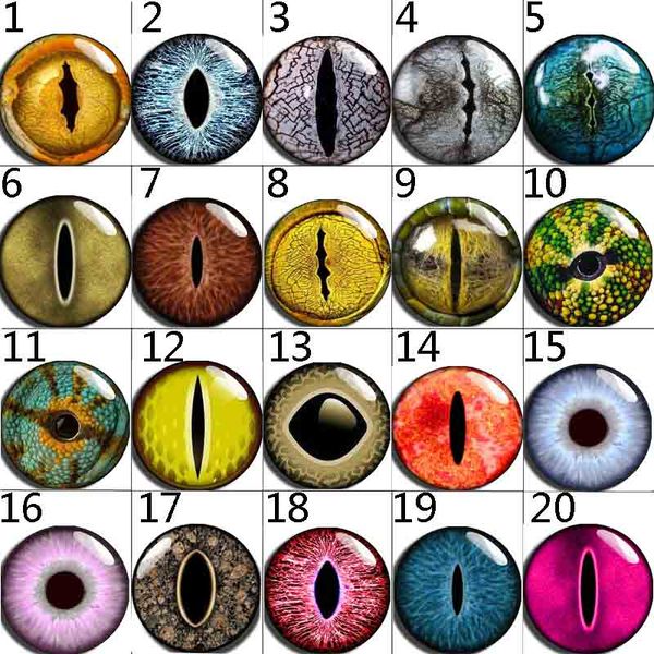 новые куски 112 горячей продажи 12 мм 18 мм стекло оснастки кнопка кабошон для взаимозаменяемых женщин браслет ожерелье ювелирные изделия ак, Blue;slivery
новые куски 112 горячей продажи 12 мм 18 мм стекло оснастки кнопка кабошон для взаимозаменяемых женщин браслет ожерелье ювелирные изделия ак, Blue;slivery