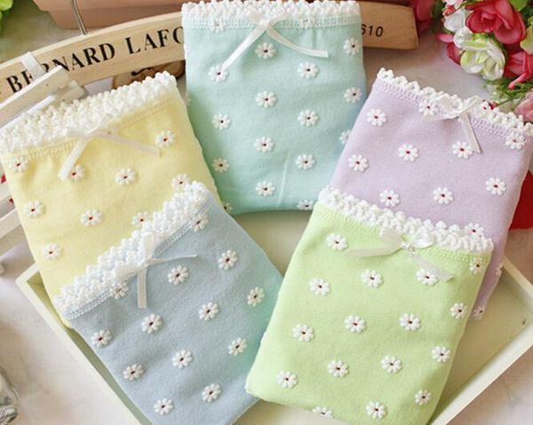 small chrysanthemum panties lovely cotton briefs for female, Black;pink
small chrysanthemum panties lovely cotton briefs for female, Black;pink