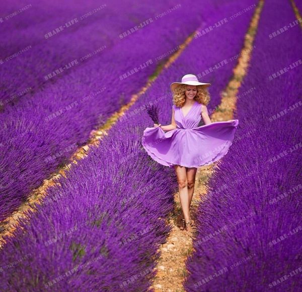 200 PCS French Provence Lavender Seeds Very Fragrant Organic Lavandula Seeds Plant Flower Flower Seeds Home Garden Planting
200 PCS French Provence Lavender Seeds Very Fragrant Organic Lavandula Seeds Plant Flower Flower Seeds Home Garden Planting