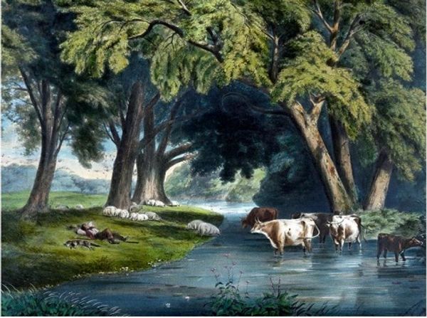 framed men resting by river.sheep and cows drinking wate,pure hand painted animal art oil painting canvas.multi sizes a015
framed men resting by river.sheep and cows drinking wate,pure hand painted animal art oil painting canvas.multi sizes a015