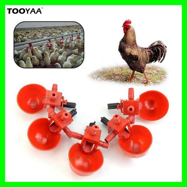 automatic birds chicken drinking water bowls cups poultry feeding tools equipments coop fowl drinker
automatic birds chicken drinking water bowls cups poultry feeding tools equipments coop fowl drinker