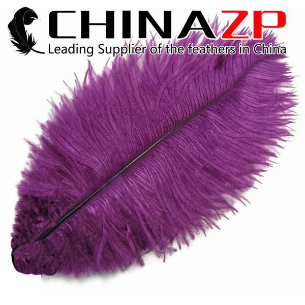 

Leading Supplier CHINAZP Crafts Factory Cheap Wholesale 25~30cm(10~12inch) Colorful Eggplant Ostrich Confetti Feather for DIY Accessories