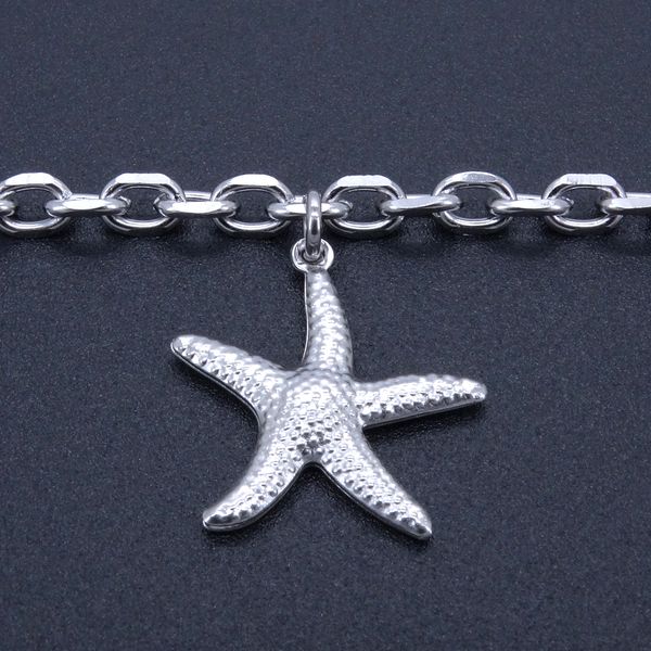 stainless steel anklets fashion boots jewelry ankle bracelet starfish charm waterproof 23+5 cm adjust to 11" factory offer, Red;blue
stainless steel anklets fashion boots jewelry ankle bracelet starfish charm waterproof 23+5 cm adjust to 11" factory offer, Red;blue