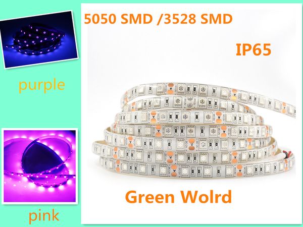 5m/lot 5050/2835smd purple/pink special color 300smd /600smd waterproof ip65 for outdoor strip mini order 5pcs
5m/lot 5050/2835smd purple/pink special color 300smd /600smd waterproof ip65 for outdoor strip mini order 5pcs