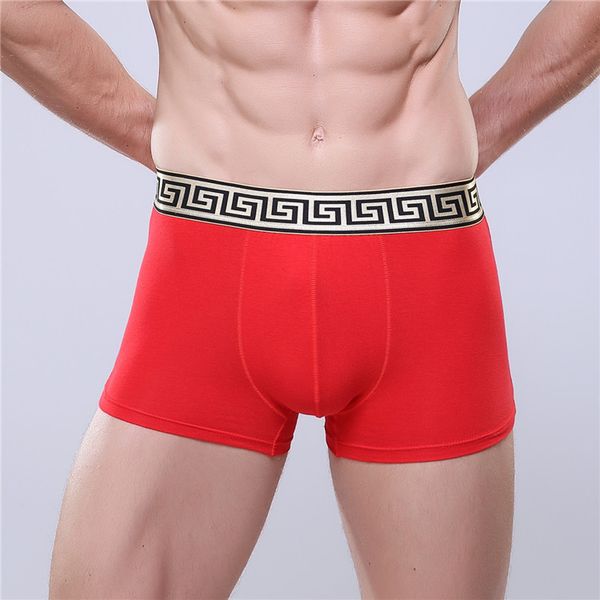 Fashion Large yard Men underwear cotton design cuecas boxer golden tight waistband men truck quality underpant
Fashion Large yard Men underwear cotton design cuecas boxer golden tight waistband men truck quality underpant