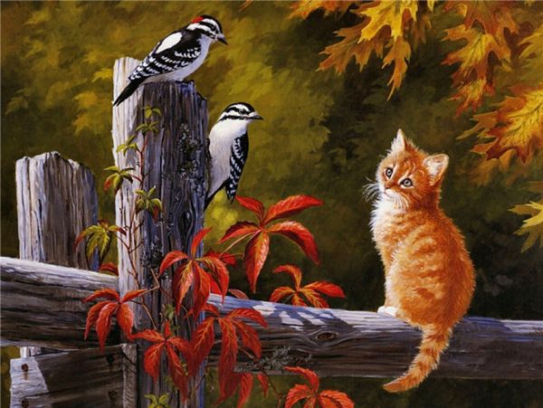 new needlework diy diamond painting cross stitch kits full resin round diamond embroidery mosaic home decor animal cute cat bird yx0627
new needlework diy diamond painting cross stitch kits full resin round diamond embroidery mosaic home decor animal cute cat bird yx0627