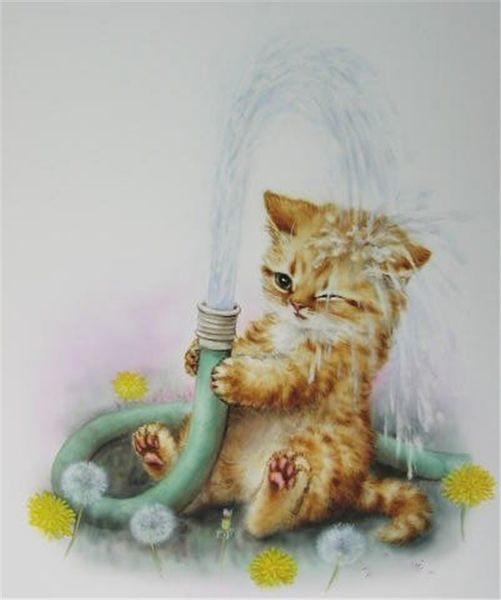 new diy mosaic diamond painting cross stitch kits animal cute cat full resin round diamonds embroidery needlework home decor yx0931
new diy mosaic diamond painting cross stitch kits animal cute cat full resin round diamonds embroidery needlework home decor yx0931