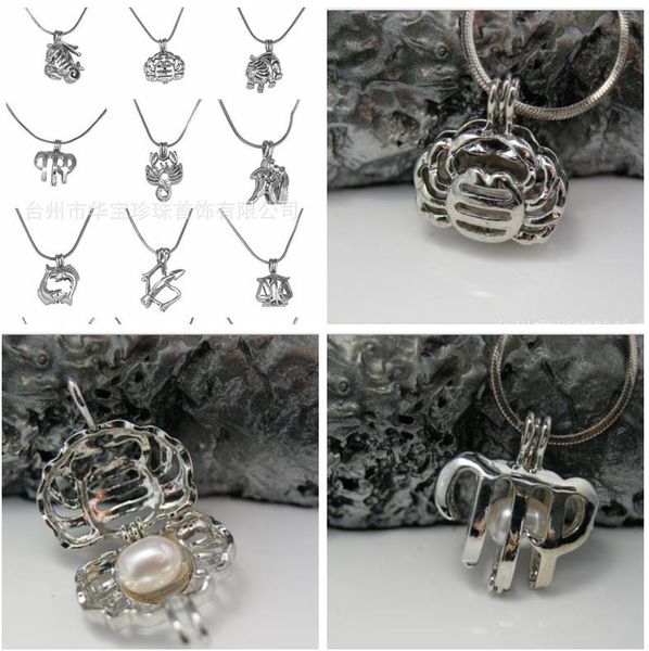 twelve constellations style oyster pearl bead cage lockets pendant necklaces for women diy jewelry (with necklace chain and pearl) d663, Silver
twelve constellations style oyster pearl bead cage lockets pendant necklaces for women diy jewelry (with necklace chain and pearl) d663, Silver