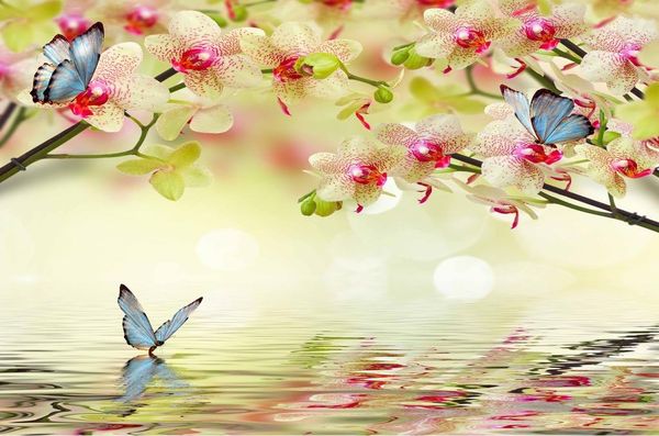 fantasy phalaenopsis reflections tv background wall paintings mural 3d wallpaper 3d wall papers for tv backdrop
fantasy phalaenopsis reflections tv background wall paintings mural 3d wallpaper 3d wall papers for tv backdrop