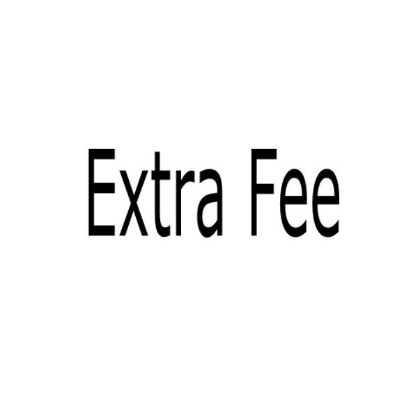 Extra fee for plus size/rush order /fast shipping/long sleeve /long train/or any other requriement about the item
Extra fee for plus size/rush order /fast shipping/long sleeve /long train/or any other requriement about the item