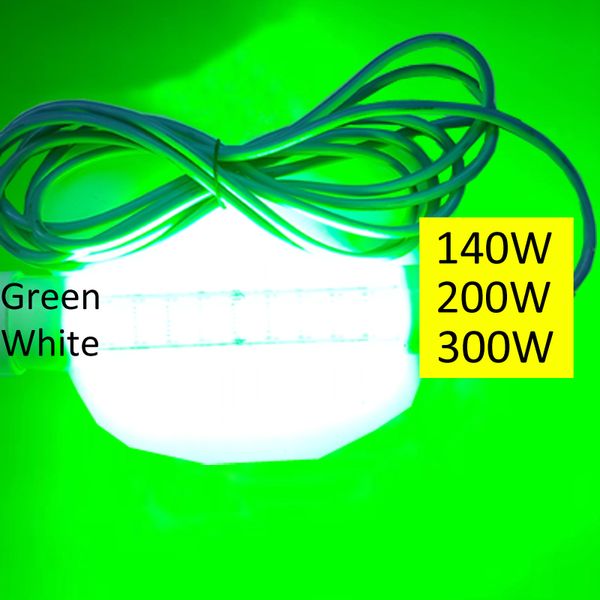 high power 12v 300w underwater attracting fish lamp angling bait led light submersible night fishing
high power 12v 300w underwater attracting fish lamp angling bait led light submersible night fishing