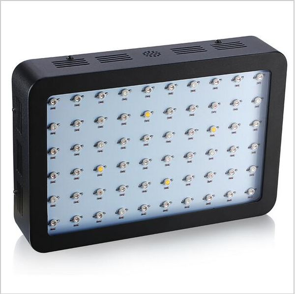 600w double chips led licht groeien volledige spectrum 410-730nm voor kamerplanten en bloem phrase zeer hoge opbrengst
600w double chips led licht groeien volledige spectrum 410-730nm voor kamerplanten en bloem phrase zeer hoge opbrengst