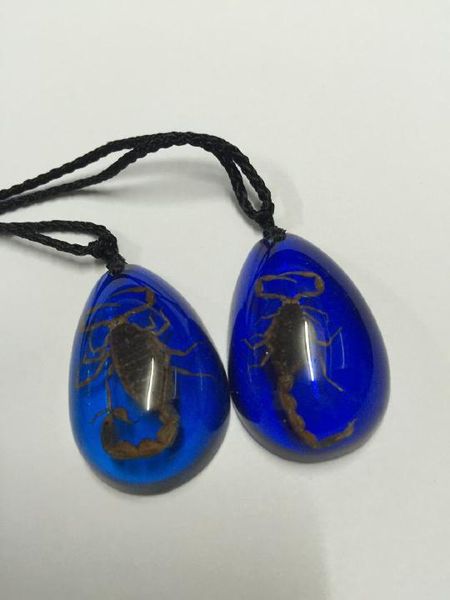 12 pcs scorpion resin pendant trendy jewelry novel souvenir novelties give away, Silver
12 pcs scorpion resin pendant trendy jewelry novel souvenir novelties give away, Silver
