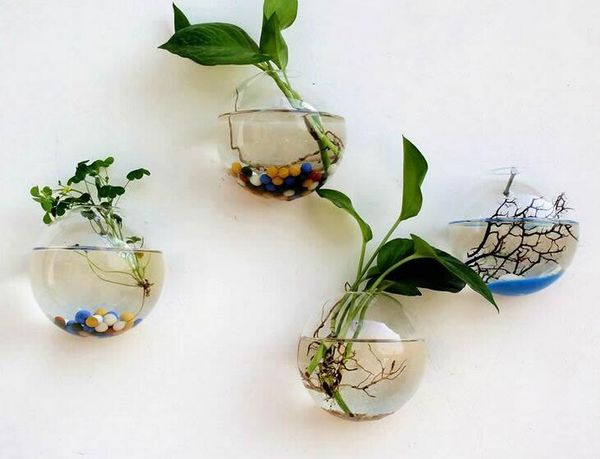 новый подвесной цветочный горшок стеклянный шар ваза террариум стены fish tank аквариум контейнер home decor
новый подвесной цветочный горшок стеклянный шар ваза террариум стены fish tank аквариум контейнер home decor