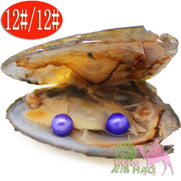 mysterious gifts 6-7mm dyeing 28 colors round pearls vacuum packaging natural akoya shell freshwater love pearls oysters
mysterious gifts 6-7mm dyeing 28 colors round pearls vacuum packaging natural akoya shell freshwater love pearls oysters