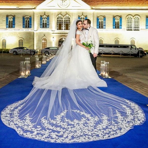 luxury 3m wedding veils with lace applique long cathedral length veils two layers tulle bridal veil, Black
luxury 3m wedding veils with lace applique long cathedral length veils two layers tulle bridal veil, Black