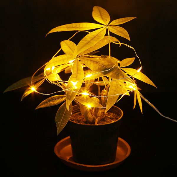 2m 20leds led string cr2032 battery operated micro mini light copper silver wire starry led strips for festival and holiday decoration
2m 20leds led string cr2032 battery operated micro mini light copper silver wire starry led strips for festival and holiday decoration