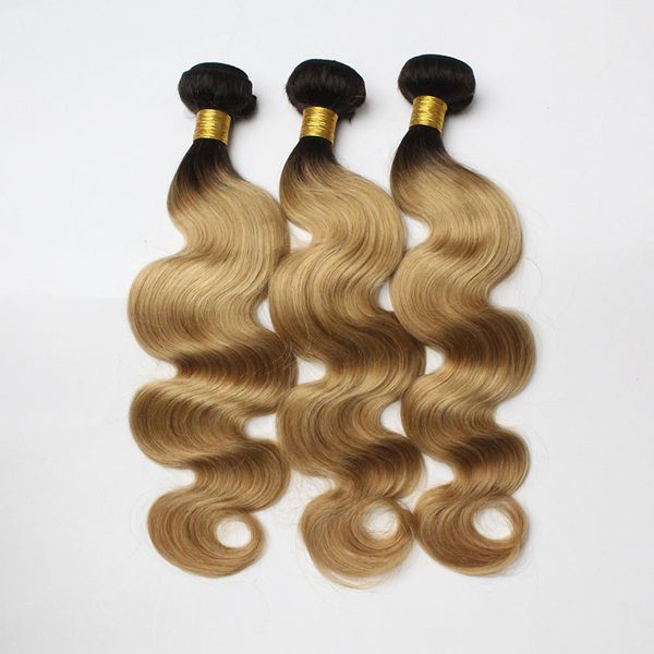 3pc lot brazilian ombre hair weft two tone dark root 1b 613 1b grey 1b 27 blonde peruvian body wave human hair oft hair bundle
3pc lot brazilian ombre hair weft two tone dark root 1b 613 1b grey 1b 27 blonde peruvian body wave human hair oft hair bundle