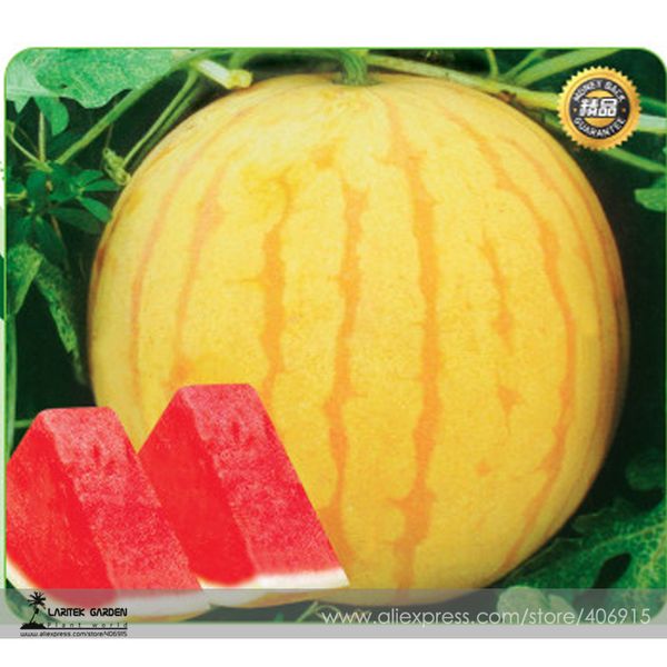 New varieties of yellow and red watermelon seeds, professional packaging, 30PCS, fruit yield of watermelon spring and summer seasons especia
New varieties of yellow and red watermelon seeds, professional packaging, 30PCS, fruit yield of watermelon spring and summer seasons especia