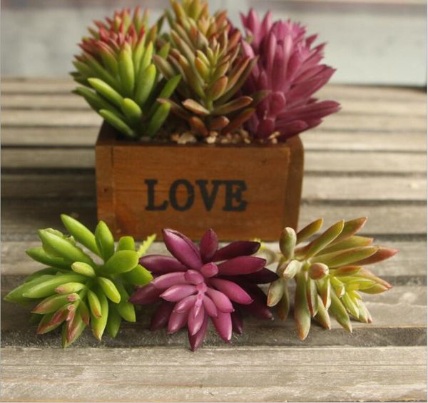 рождество 3 цвет снежинка лотос растения сад сочная трава пустыня искусственные растения ландшафтная композиция сад милые украшения
рождество 3 цвет снежинка лотос растения сад сочная трава пустыня искусственные растения ландшафтная композиция сад милые украшения