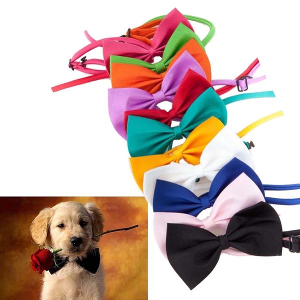 adjustable pet dog bow tie cat necktie wholesale cute children tie dog clothing apparel accessories
adjustable pet dog bow tie cat necktie wholesale cute children tie dog clothing apparel accessories