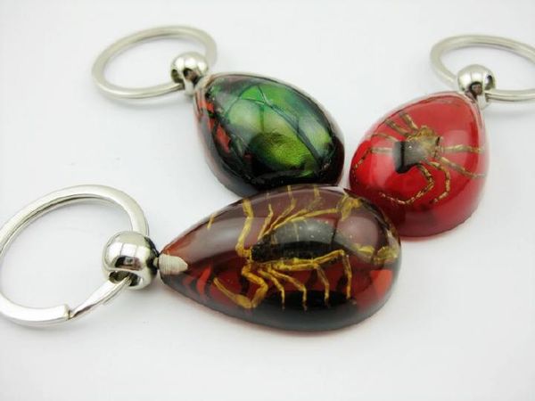 9 pcs yqtdmy magic real scorpion spider green beetle drop cool keychain, Slivery;golden
9 pcs yqtdmy magic real scorpion spider green beetle drop cool keychain, Slivery;golden