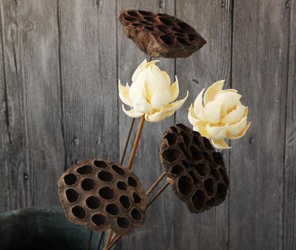vintage dried lotus flowers, natural and dry flowers wholesale art, real flowers and decorative art flowers
vintage dried lotus flowers, natural and dry flowers wholesale art, real flowers and decorative art flowers