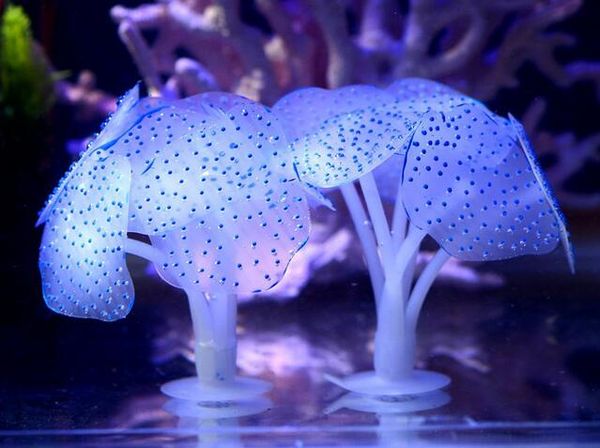 aquariums sucker coral aquarium artificial coral silicone plant with sucker ornament water landscape decor fish tank aquarium accessories
aquariums sucker coral aquarium artificial coral silicone plant with sucker ornament water landscape decor fish tank aquarium accessories