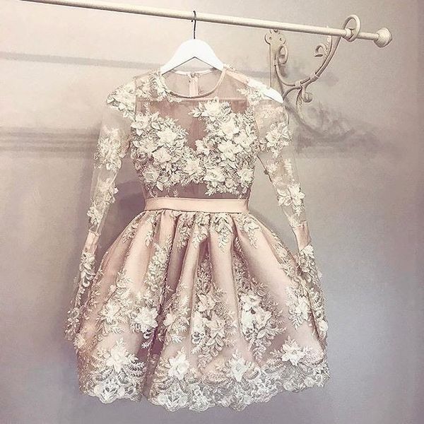 stunning 3d appliques homecoming dresses with long sleeves sheer jewel neck short prom gowns mini tulle formal cocktail dress, Blue;pink
stunning 3d appliques homecoming dresses with long sleeves sheer jewel neck short prom gowns mini tulle formal cocktail dress, Blue;pink