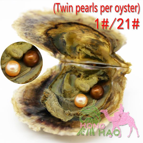 6-7mm round natural freshwater pearls in twins oyster shells colorful stained pearls in oysters 2 baby 1 oysters
6-7mm round natural freshwater pearls in twins oyster shells colorful stained pearls in oysters 2 baby 1 oysters