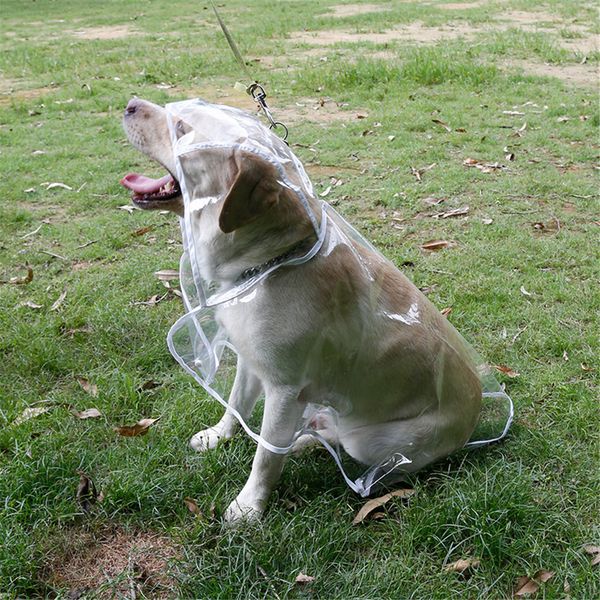 

Золотистый ретривер плащ - водонепроницаемое пальто для Собаки - Собака пальто дождя куртка одежда прозрачный водонепроницаемый костюм