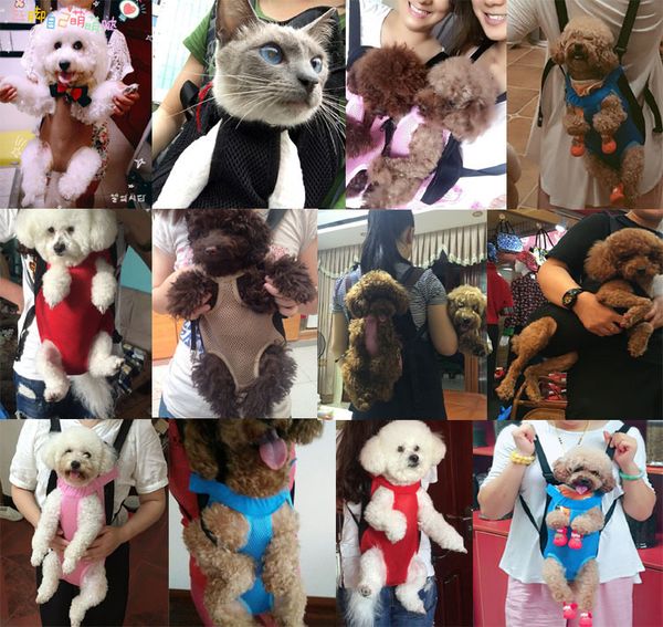 pet supplies dog carriers small dog cat backpacks outdoor travel dog totes 4 colors ing
pet supplies dog carriers small dog cat backpacks outdoor travel dog totes 4 colors ing