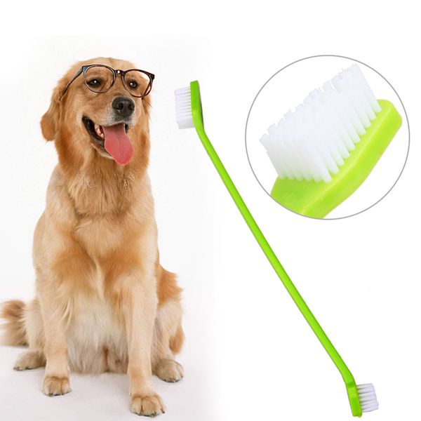 pet tooth brush brand new lovely grooming dual end tooth brush for pet dog puppy cat small animals dog grooming
pet tooth brush brand new lovely grooming dual end tooth brush for pet dog puppy cat small animals dog grooming