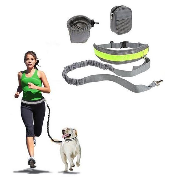 

4 colors adjustable elastic hands dog leashes walk running jogging waist belt with leash bag set