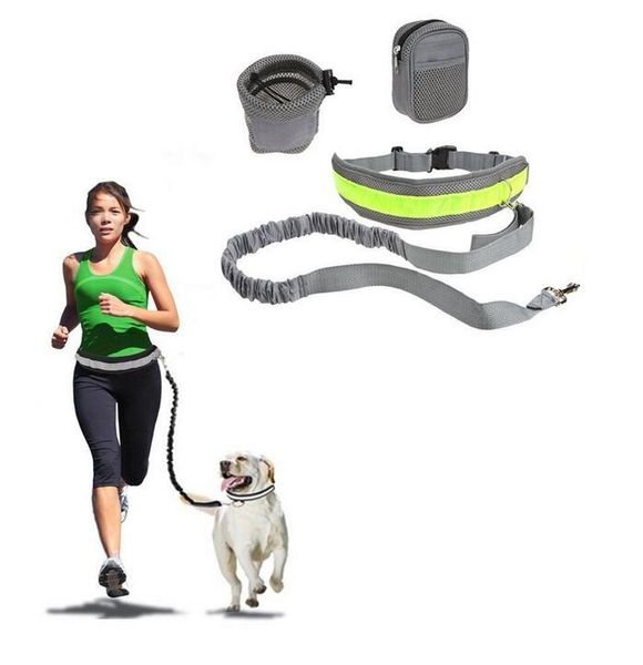 4 colors adjustable elastic hands dog leashes walk running jogging waist belt with leash bag set
4 colors adjustable elastic hands dog leashes walk running jogging waist belt with leash bag set