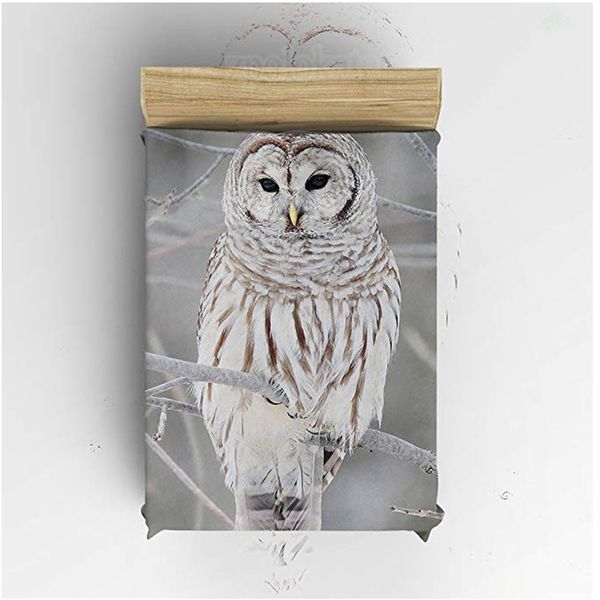 flannel fleece blanket lightweight cozy bed sofa blankets super soft fabric owl
flannel fleece blanket lightweight cozy bed sofa blankets super soft fabric owl